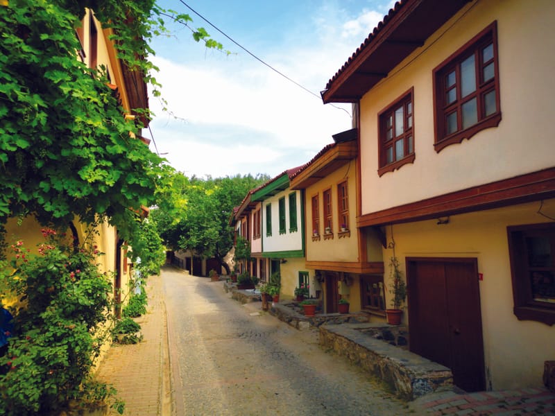 Misi sokak